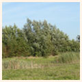 omgeving