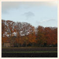 omgeving